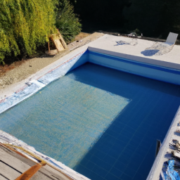 Accessoires et Produits d'Entretien : Maintenez votre Piscine dans un État Impeccable Saint-Pierre